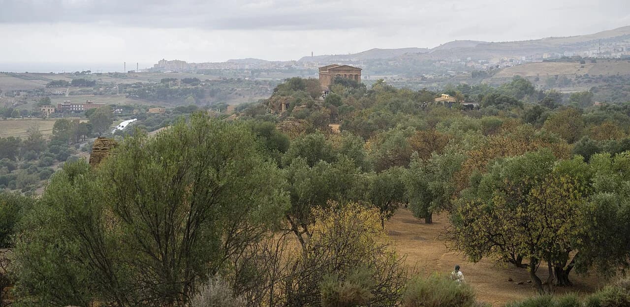 La Vallée des Temples