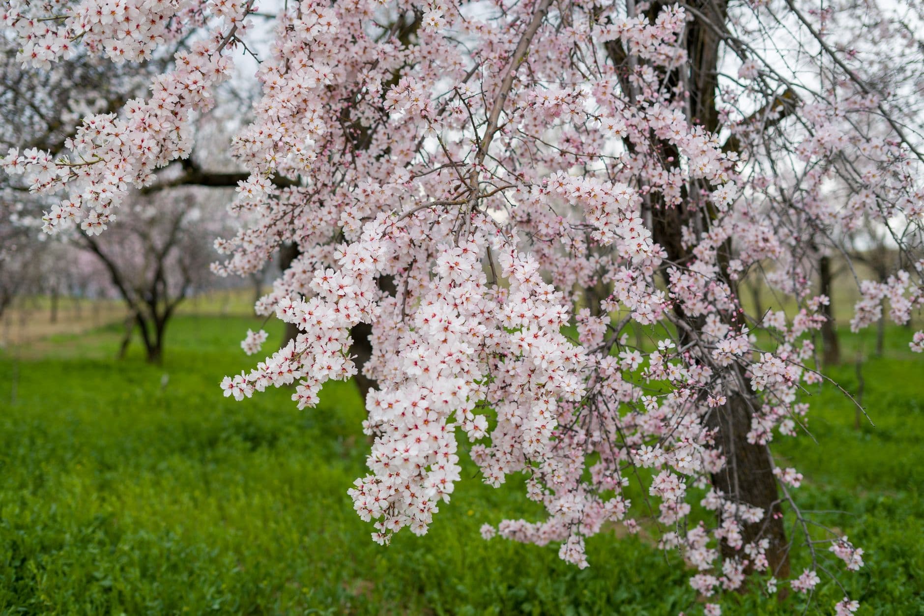 Paysage de la destination